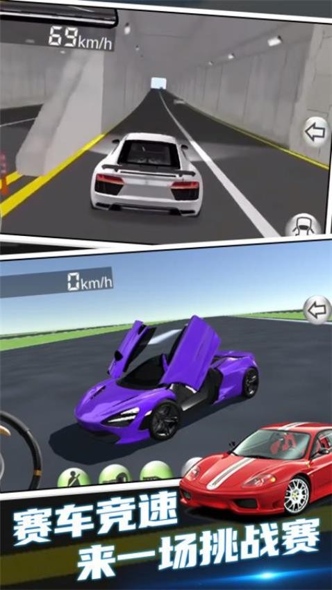 汽车模拟驾驶v1.0截图2
