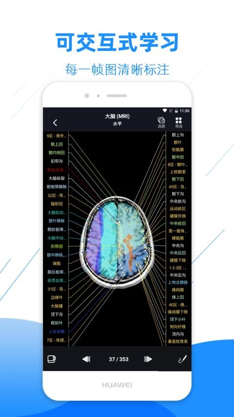 影像解剖图谱免费版v3.9.9截图1