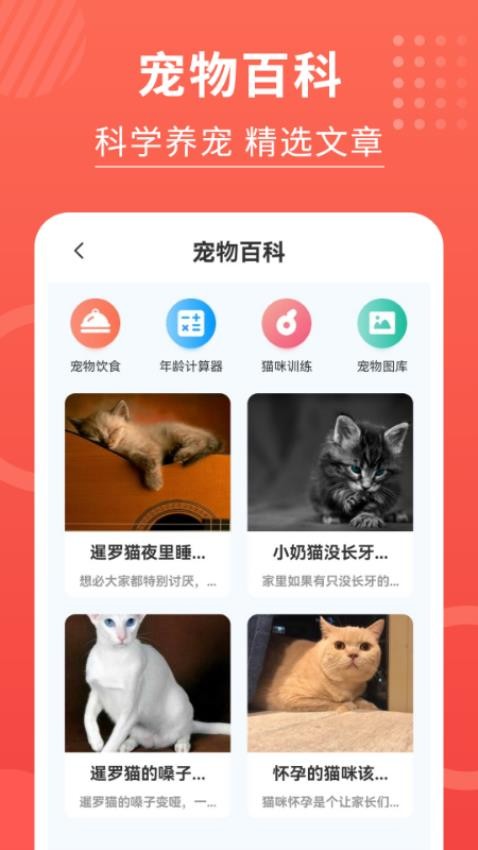 猫猫翻译器软件官方版(4)