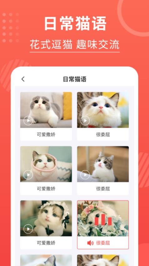 猫猫翻译器软件官方版(3)