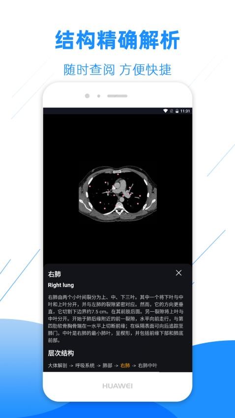 影像解剖图谱免费版v3.9.9截图5