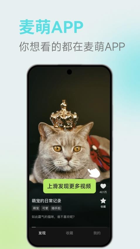 麦萌app(2)