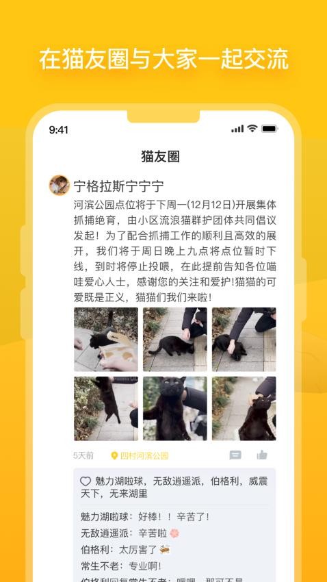 街猫appv1.37.5(4)