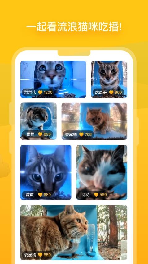 街猫appv1.23.0(2)