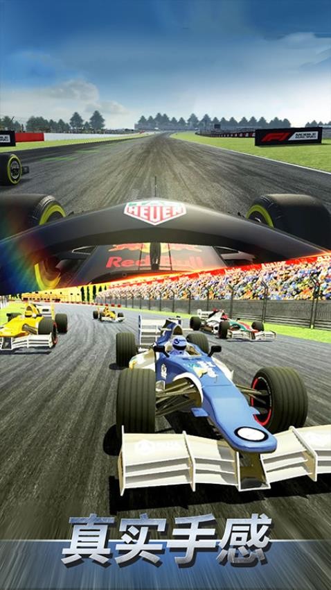 F1赛车模拟3Dv1.5截图4