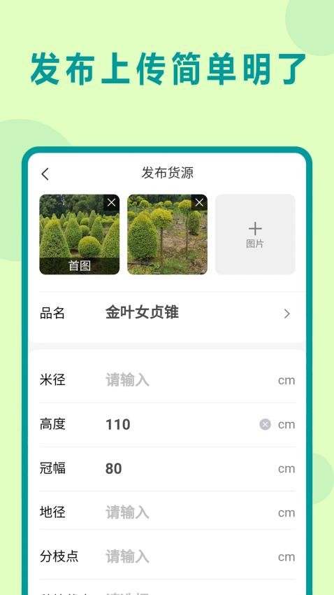 苗青青官方版v2.0.12(2)