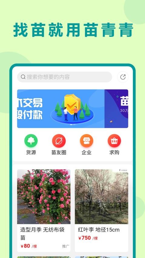 苗青青官方版v2.0.12(3)