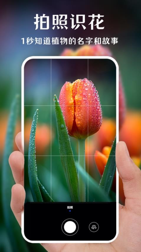 一键拍照识花app(2)