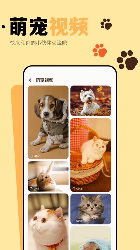 猫咪聊天翻译器appv1.20(3)