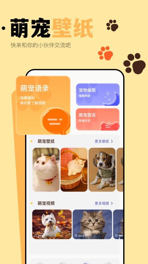 猫咪聊天翻译器appv1.20(4)