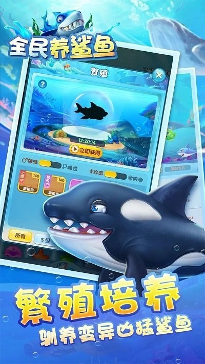 全民养鲨鱼v1.3(3)
