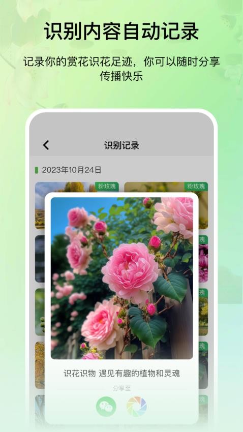花卉识别图鉴appv1.0截图1