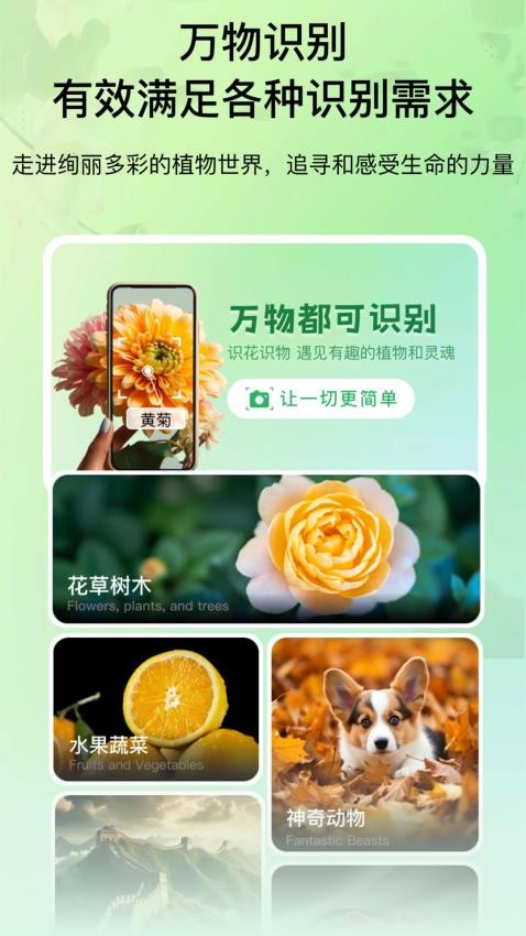 花卉识别图鉴appv1.0(4)