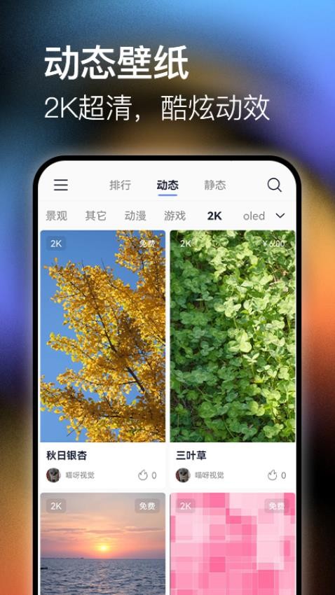 极壁纸appv1.0.1截图5