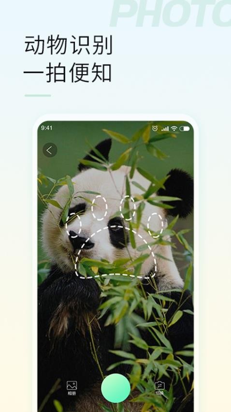智能拍照识物最新版(4)
