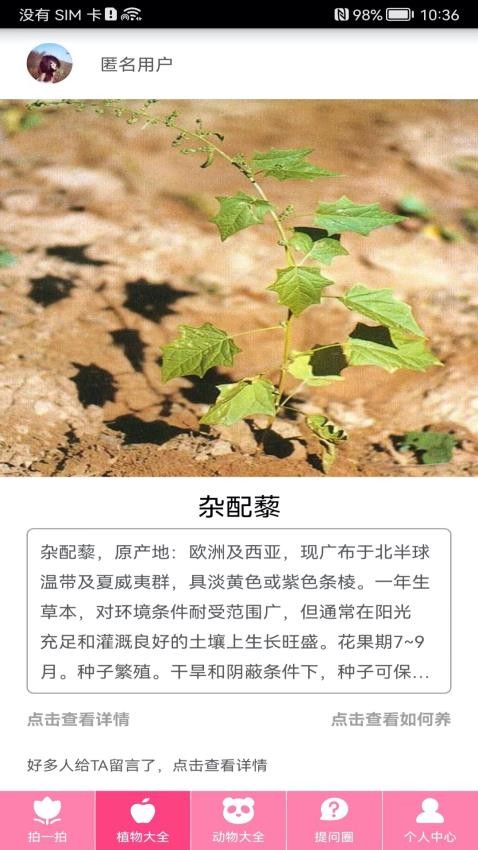 拍照识物app(1)