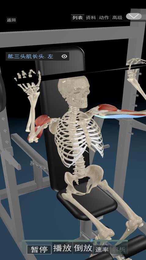 3D动态解剖软件v1.70截图3