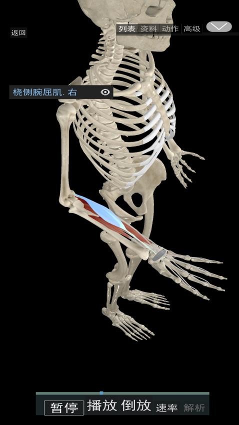 3D动态解剖软件v1.70截图1