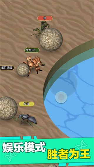 昆虫进化大乱斗v1.0(4)