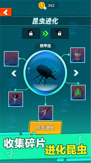 昆虫进化大乱斗v1.0(1)