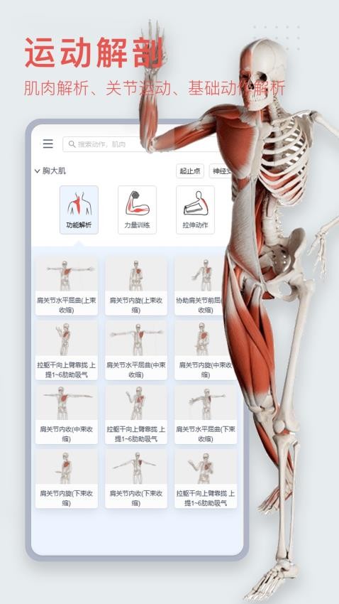 3Dbody解剖appv8.8.20(1)