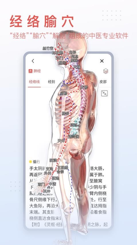3Dbody解剖appv8.8.20(4)