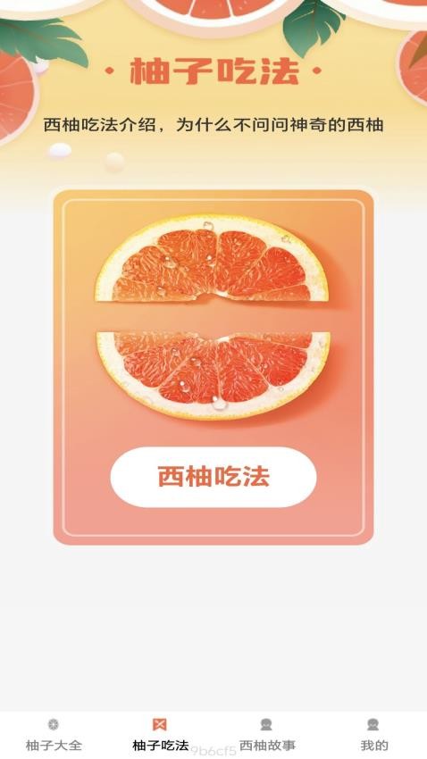 西柚多多app(1)