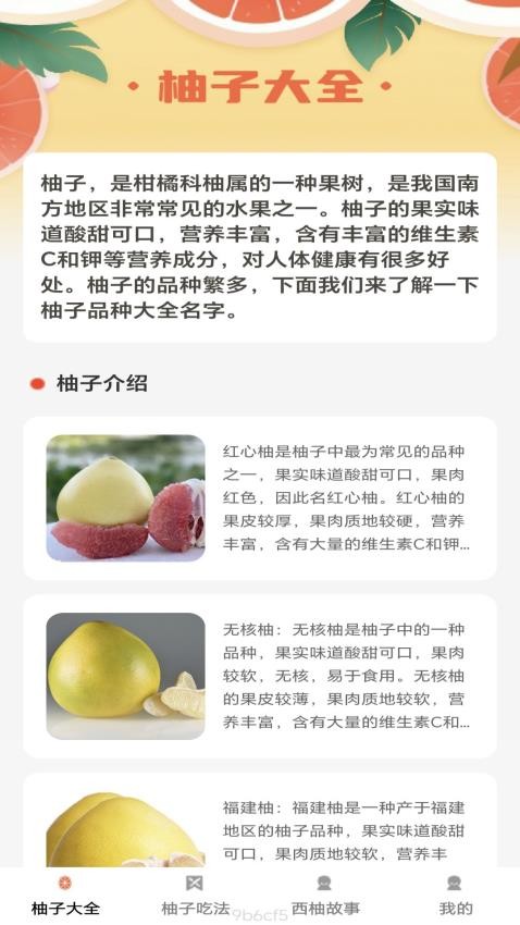 西柚多多app(4)