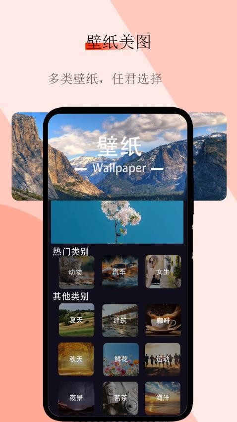 私密利器appv1截图1