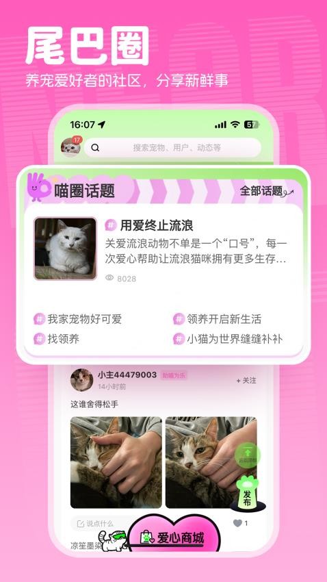 附近有喵app(3)