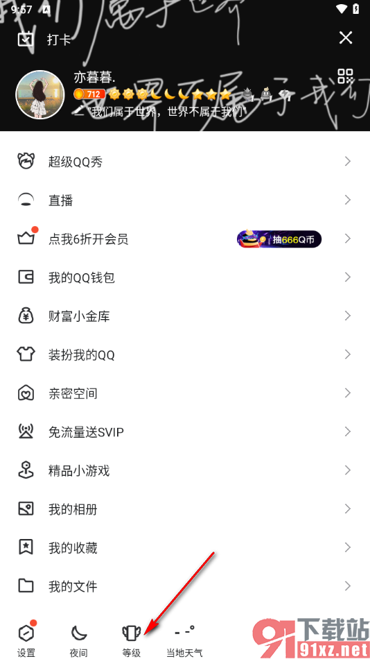 手机qq查看qq等级的方法
