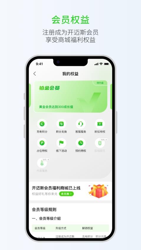 开迈斯充电app(2)