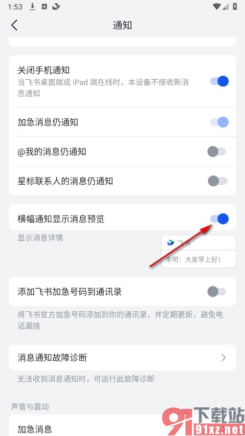 飞书手机版设置显示消息预览的方法
