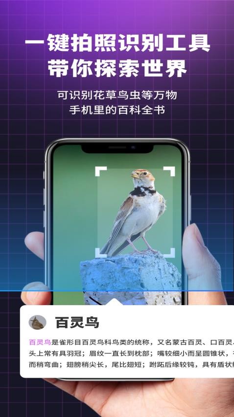 i浏览器无痕版appv2.1.1(4)