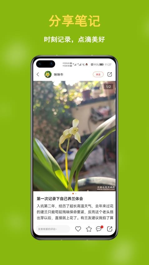 兰花交易网app(1)