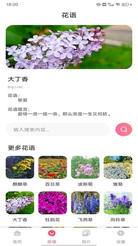 MosTalk 聊天官网版v1.0.1(4)