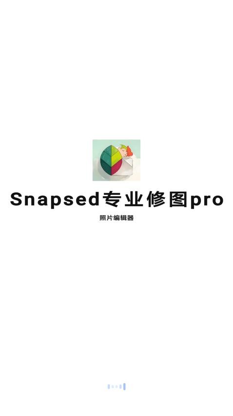 Snapsed专业修图pro软件v1.0.5(3)