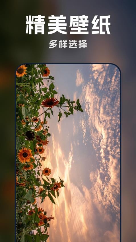 AI壁纸酷APPv1.0.0(2)