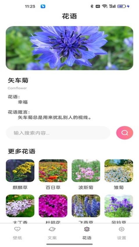 傲娇壁纸最新版v1.0.2(4)