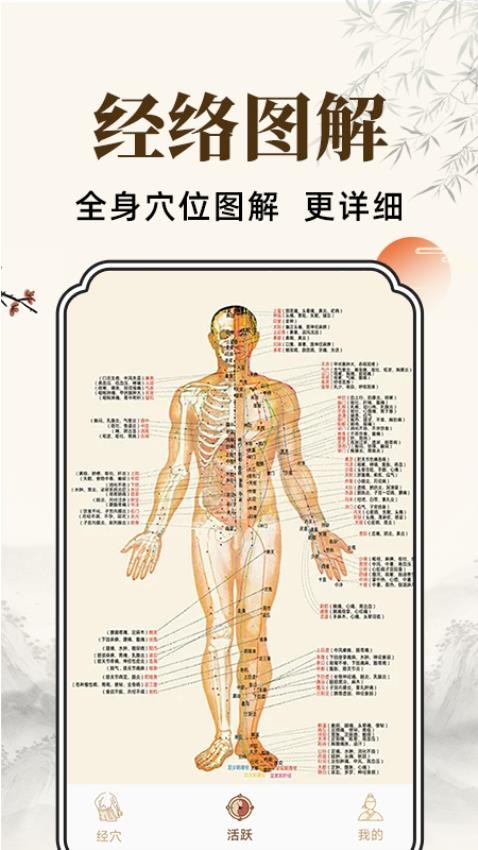 穴位经脉详解免费版v1.0.1(2)