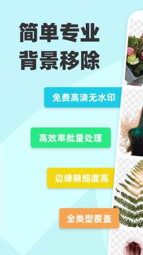 椰子背景最新版v1.2.1截图2