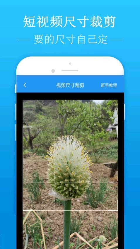 去水印吧appv2.1.9(4)