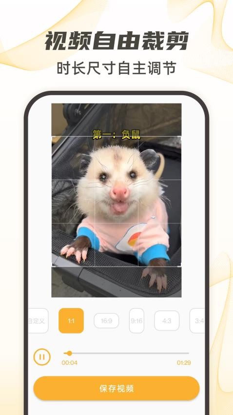 视频下载去水印免费版v18截图1