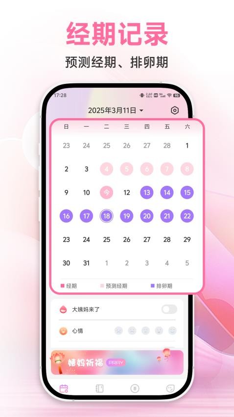 大姨妈记账最新版v5.3.1截图1