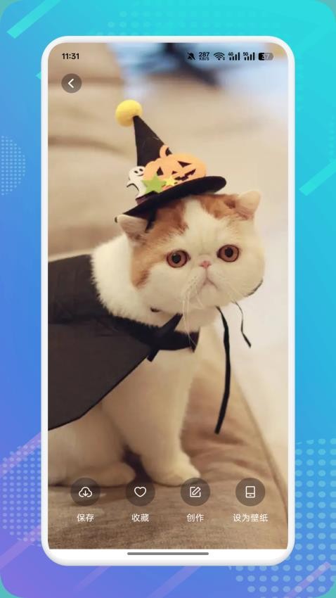 猫咪社区appv1.5截图3