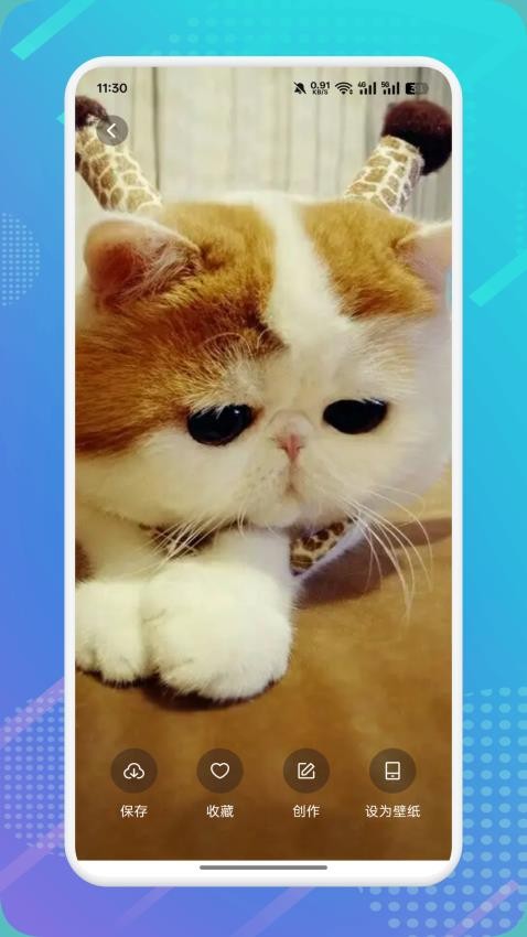 猫咪社区appv1.5截图4