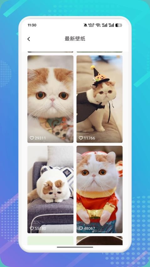 猫咪社区appv1.5截图2