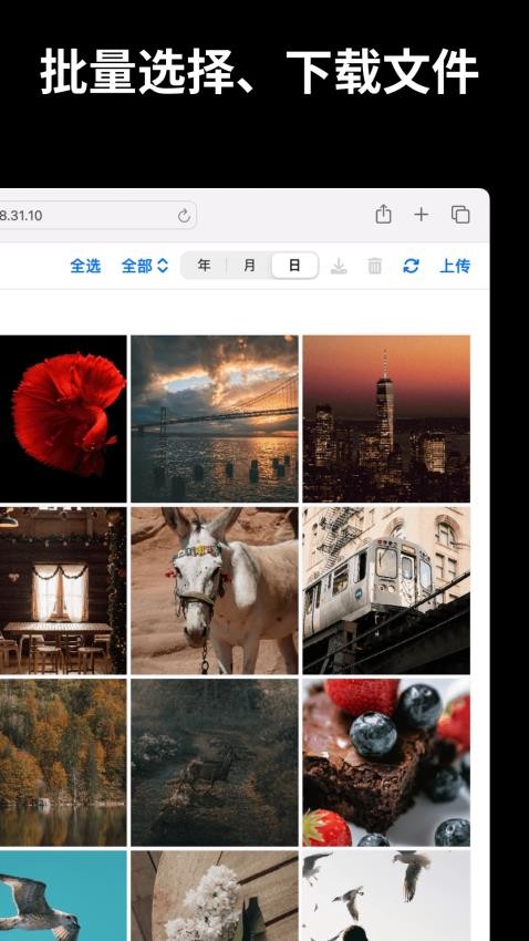 文件闪传官网版v6.1.6截图2