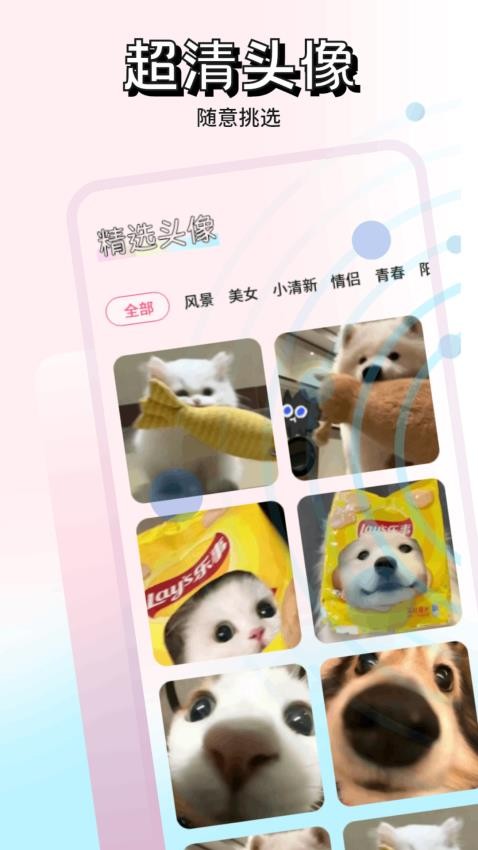熊猫壁纸appv1.1截图3