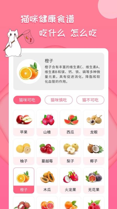人猫翻译神器官方版v2.2.4截图3